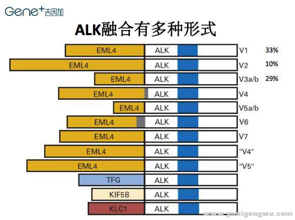 微信图片_20170711145726.jpg