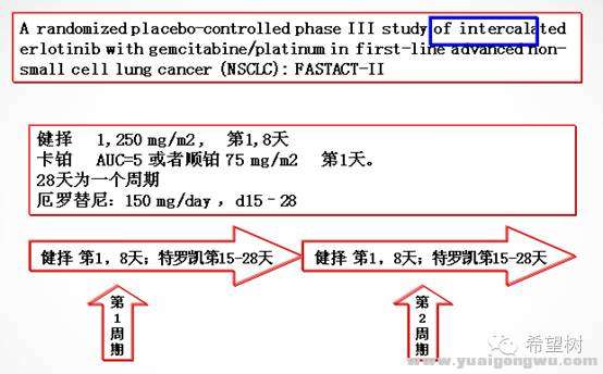 化疗宝典5.jpg