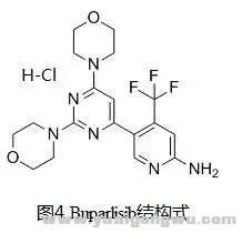 NSCLC的PIK3CA突变4.jpg