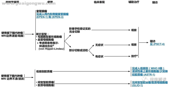 中枢神经系统肿瘤2124.png